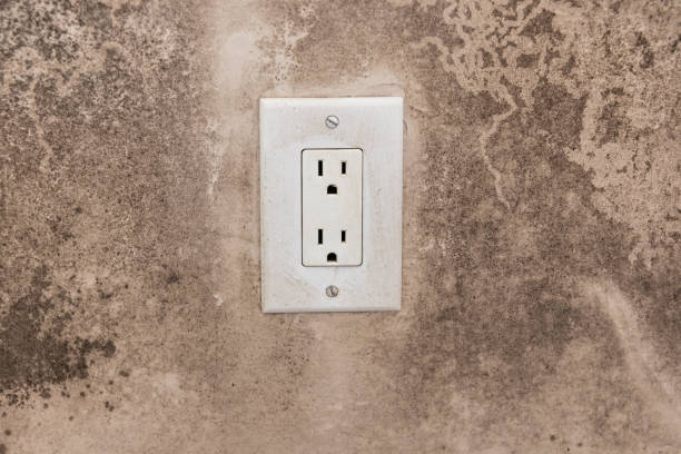 Best Real Estate Mold Inspection  in Mounds View, MN